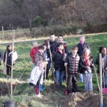 Un arbre pour le climat