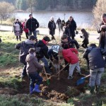 Un arbre pour le climat