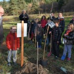 Un arbre pour le climat