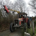 Elagage des branches basses