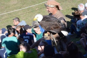 Les rapaces fête médiévale
