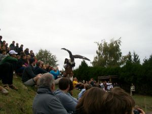 Aigle sur le public fête médiévale