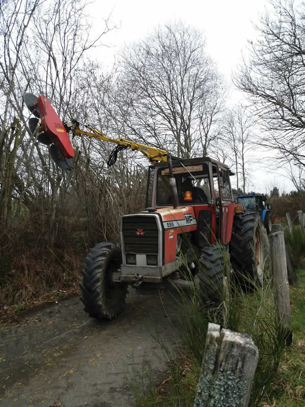 Elagage des branches basses