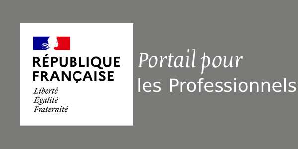 Accès portail public professionnels Accès portail public professionnels